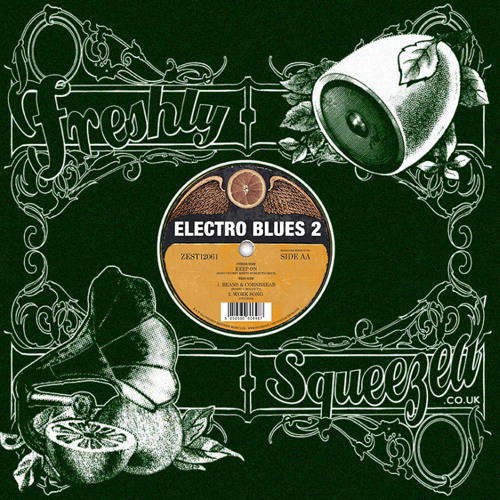Electro Blues 2 12" vinyl Mini-Mix Sampler
