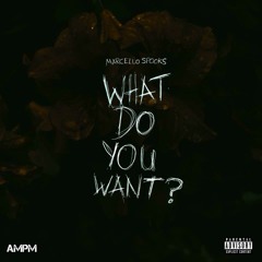 MARCELLO SPOOKS - WHAT DO YOU WANT [MAIN]