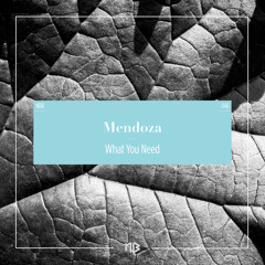 Mendoza - What You Need (Original) (excerpt)