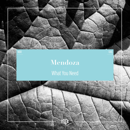 Mendoza - What You Need (Original) (excerpt)