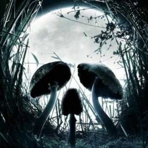 Darkpsy