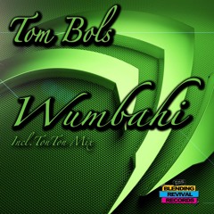 Tom Bols - Flötenzauber original mix