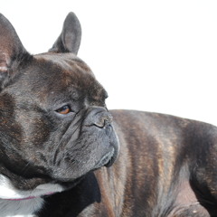love is a drug roxy