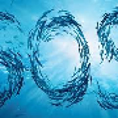 Eric Salucci - Sos d'un terrien en détresse (Cover)