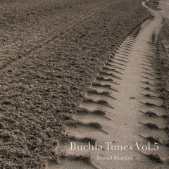Buchla Tunes Vol 5 Teaser 10
