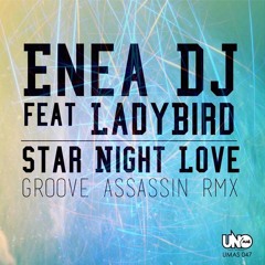 Star Night Love (Groove Assassin Classic Remix)