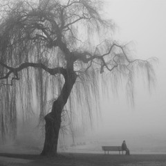 Wael_Jassar-Ba3dak_