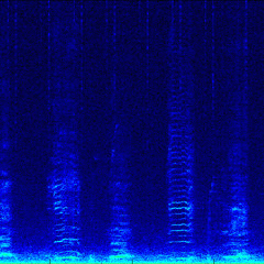 Segment of a Humpback Whale Song