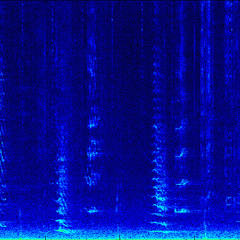 Humpback Song with Dolphin Calls