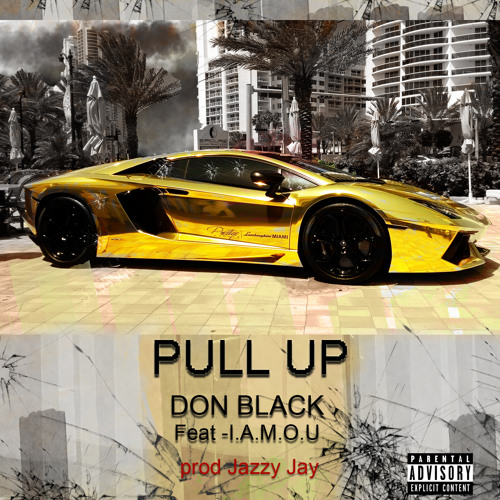 Pull Up Don Black 6 11 2014