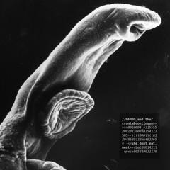 She don't eat meat/We don't need them anymore