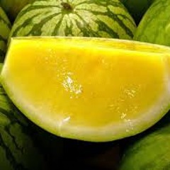Ricky REcordo "Yellow Watermelon"