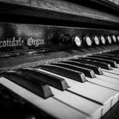 Black Doe - CompoL Orgue (Edited)