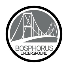 The Fielders & Luigi Peretti - Shake That Body (Original Mix) [BOSPHORUS UNDERGROUND RECORDINGS]