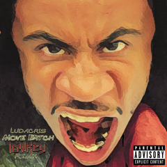 Ludacris - Move Bitch (LOWKey Remix)