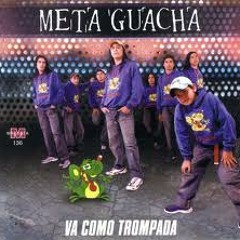 Meta Guacha - Cumbia Chapa -(N® DJ)