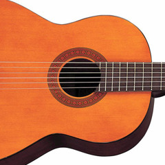 Wonderful Tonight (Guitar Cover full song)