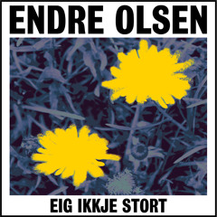 Eig ikkje stort - Endre Olsen (originalversjon)