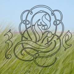 Mariusz Goli -Improwizacja- Katowice Stawowa 2