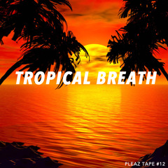 Pleaz Tape #12 - Tropical Breath (Part. 1)