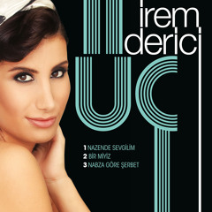 iREM DERiCi BiR MiYiZ YENi 2014