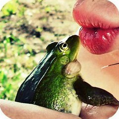 Best of Sebastian flagrong