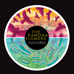 The Ramona Flowers - Vultures (Acoustic)