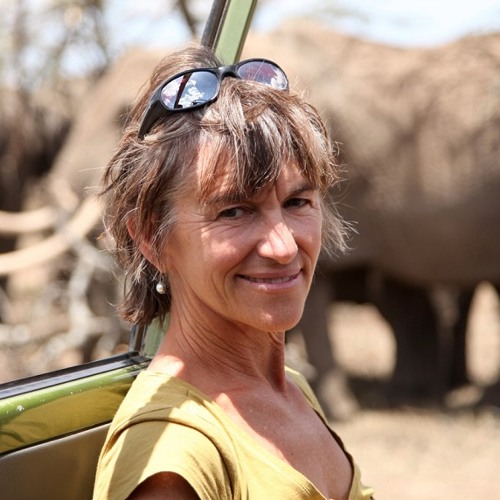 How do elephants communicate with each other?