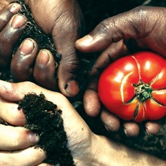 fertile ground