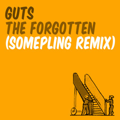 Guts - The Forgotten (Somepling Remix)