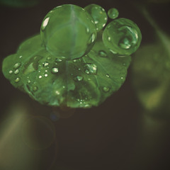 Wax Tailor - Sometimes (Fear The Wolf Trap Remix)