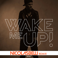 Avicii feat. Aloe Blacc - Wake Me Up (Nicolas Belli remix)