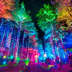 Electric forest 2014
