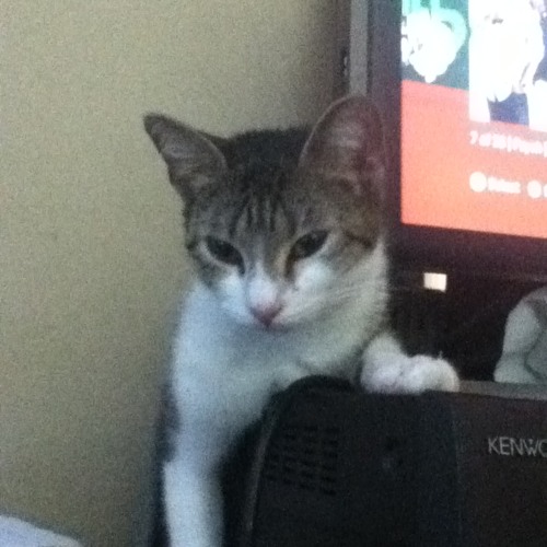 Fatal Exception at 01162014