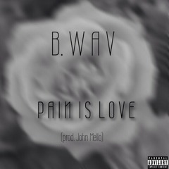 Pain Is Love- B.wav / John Mell0