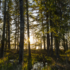 Dore Lake North of Saskatoon Saskatchewan