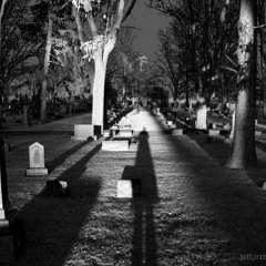 Reef - Shit on my mind