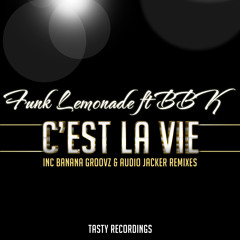 C'est La Vie (Original Mix)