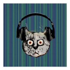 Tuxedo Cats - Nachtaktiv Set