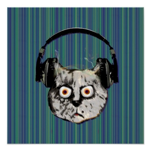 Tuxedo Cats - Nachtaktiv Set