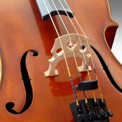 Adagio Violin/Cello Spiccato test