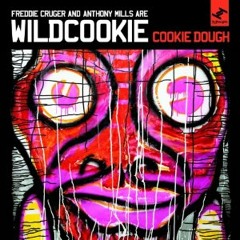 Wildcookie "Serious Drug" Instrumental