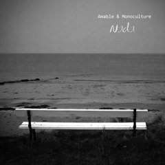 AMABLE & MONOCULTURE "Nada (edit version)"
