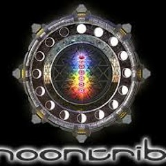 Luke Mandala @ MOONTRIBE 21YEAR ANNIVERSARY (june2014) (free D.L.)