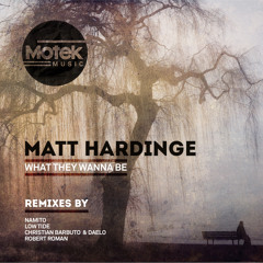 Matt Hardinge - What They Wanna Be [Out Now!]