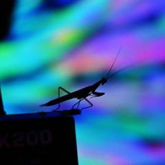 Set morning psytrance 2014