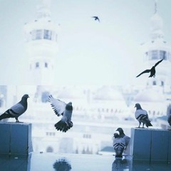 لاح بالجمال 💙