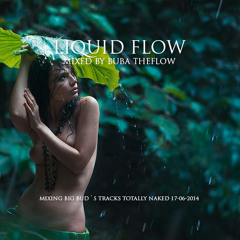 Liquid Flow 005