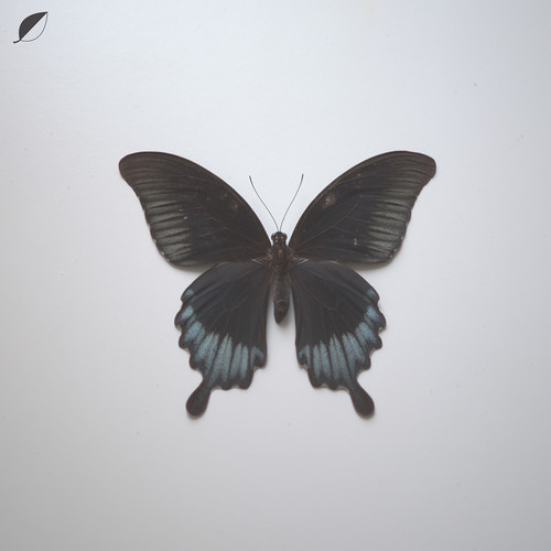 Christian Löffler - Roman