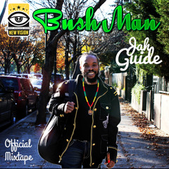 Bushman - Jah Guide Official Mixtape 2014 Mixed By New Vision Sound